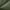 43 - OLIVE GREEN, variant on Clara Clark Queen Sheets Set, 1800 Series Deep Pocket Sheets Queen, Soft Microfiber 4 Piece Bed Sheet Sets, Gray
