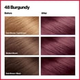 thumbnail image 2 of colorsilk Beautiful Color #48 Burgundy by Revlon for Unisex - 1 Application Hair Color, 2 of 5