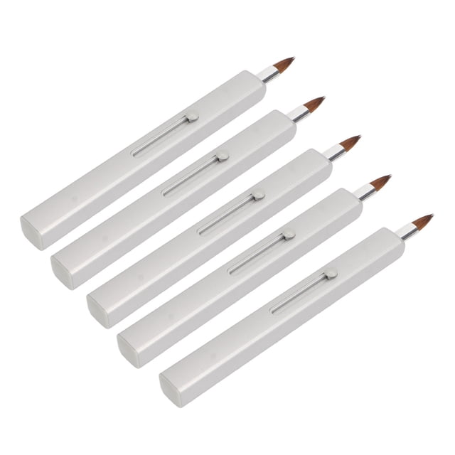 Pinceau à Lèvres, Pinceau à Lèvres Portable Rétractable Confortable 5 Pcs pour l'École