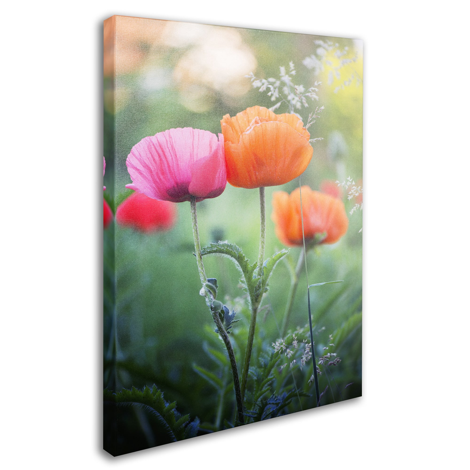 Trademark Fine Art "Love Me Again" Canvas Art by Philippe Sainte-Laudy