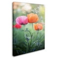 thumbnail image 3 of Trademark Fine Art "Love Me Again" Canvas Art by Philippe Sainte-Laudy, 3 of 4