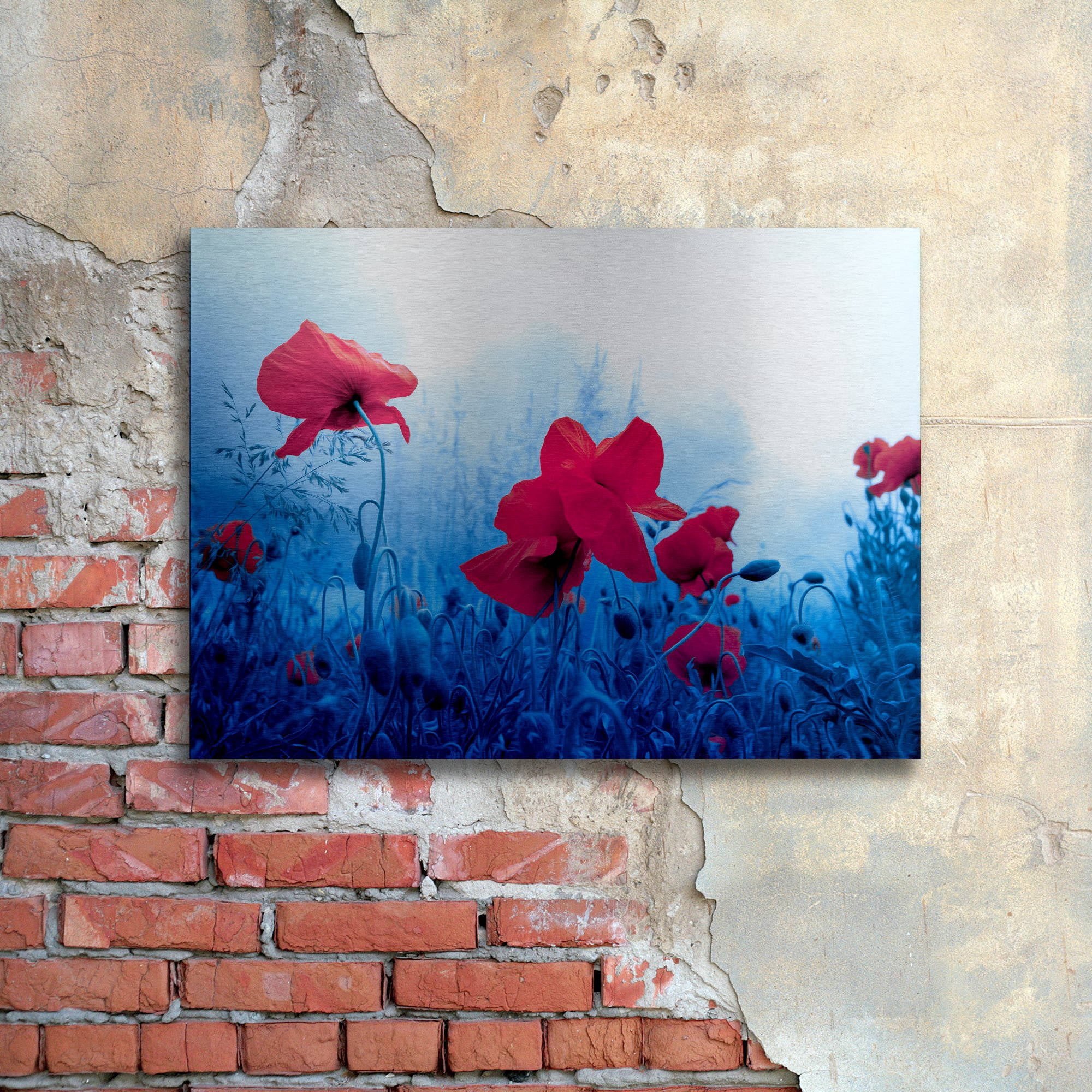 Trademark Fine Art "Jam for Poppies" Brushed Aluminum Wall Art Art by Philippe Sainte-Laudy 16" x 22"