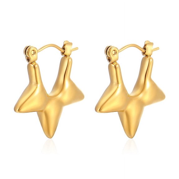 Wisbal Hoop Earrings for Women,Titanium Steel,Gold Star Earrings,Star Hoop Earrings,Hypoallergenic,Lightweight,Fashion Large Earrings,Everyday Wear