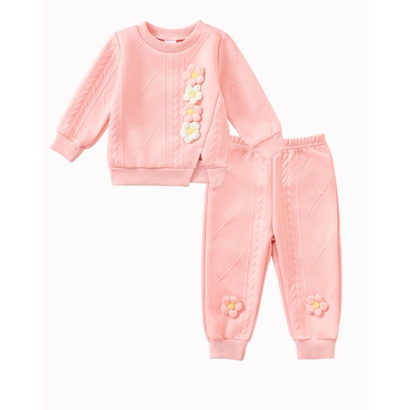 18 Months Baby Girls Clothes 24 Months Girl 2PCS Fall Winter Outfits Cute Flower Toddler Girls Long Sleeve Sweatshirt Top Pants Clothing Set Pink