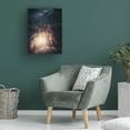 thumbnail image 2 of Canvas Wall Art - David George 'A Light In Darkness' Wall Art for Living Room, Bedroom, or Office Décor by Trademark Fine Art - 18 x 24 Inches, 2 of 4