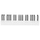 thumbnail image 1 of Wall-mounted Coat Hanger with 16 Piano Keys Hooks Multifunction Practical Coatrack for Bedroom Living Room Bathroom (Black), 1 of 2