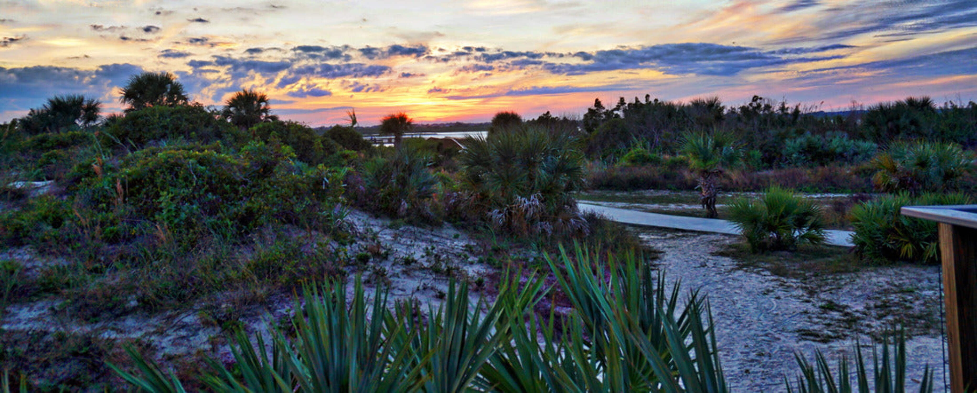 Noah Jigsaw Puzzle New Smyrna Beach Dunes panorama 2000 pieces