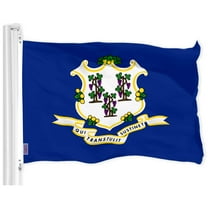 G128 Connecticut CT State Flag | 3x5 Ft | LiteWeave Pro Series Printed 150D Polyester | Indoor/Outdoor, Vibrant Colors, Brass Grommets, Thicker and More Durable Than 100D 75D Polyester