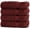 Cranberry, variant on 4 Piece Extra Large Bath Towels, 100% Cotton Luxury Turkish Towels for Bathroom, Soft Absorbent Bath Towels, 30 x 60 Inches, Wedgewood