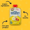 thumbnail image 2 of Earth's Best Organic Stage 2 Baby Food, Banana Raspberry Barley Fruit & Grain Puree, 3.5 oz Pouch, 2 of 8