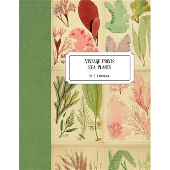 Pre-Owned Vintage Prints: Sea Plants (Paperback) by E Lawrence