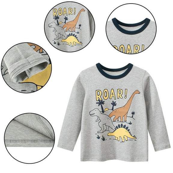 Esaierr Kids Toddler Boys T Shirts Spring Fall Kids Dinosaur Raglan Baby Long Sleeve Shirts Cotton Casual Fall Top Crewneck Tees Clothes,Sizes 1T-8T