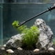 thumbnail image 4 of Pinza para plantas de acuario | Pinzas de plástico extensibles de 50 cm para plantas acuáticas | Herramienta para podar, plantar y limpiar peceras | Accesorio para el mantenimiento de peceras para, 4 of 7