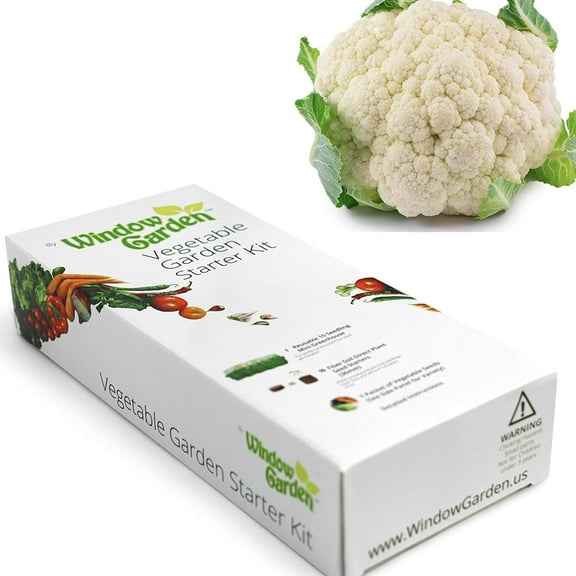 Window Garden - Cauliflower Starter Kit - Mini Greenhouse System - Easy - 1 Pack