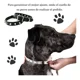 thumbnail image 5 of . Collar For Perros Y Gatos Medianos Con Picos De Metal, 5 of 6