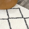 thumbnail image 3 of JONATHAN Y JONATHAN  Y Pere Moroccan Style Diamond Shag Area Rug 8 X 10 - White/Black, 3 of 5