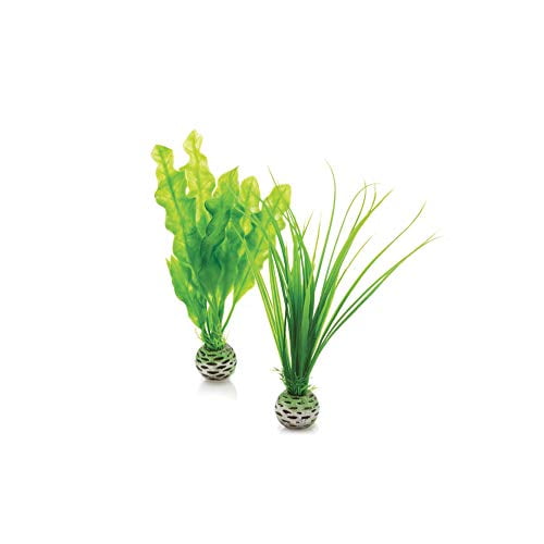biOrb Easy Plant Pack, Small