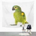 thumbnail image 2 of UFAEZU Green Parrot Yellow Shouldered Amazon Amazona Barbadensis in Front White People Wall Art Hanging Tapestry Home Decor for Living Room Bedroom Dorm 51x60 inch, 2 of 2