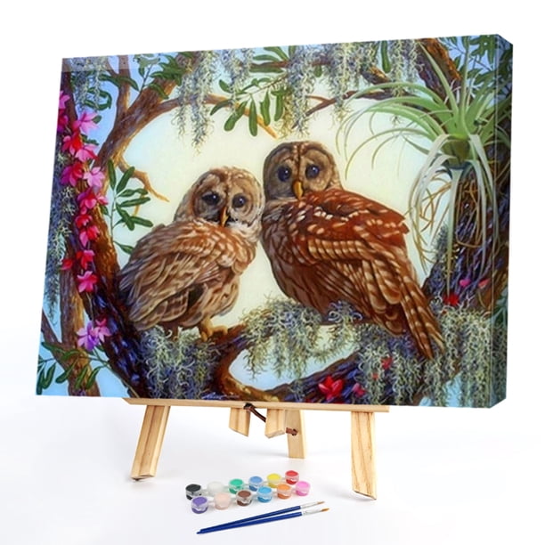 Cuadros Decorativos Kit de pintura al óleo de dos búhos por números, cuadro sin marco DIY, artesanía acrílica Sywqhk Nuevos Originales