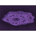 thumbnail image 1 of Ahgly Company Machine Washable Indoor Rectangle Transitional Deep Purple Area Rugs, 2' x 3', 1 of 7