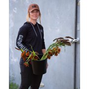 Women's UPF Banner Hooded T-Shirt | CAT® WORKWEAR