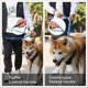 thumbnail image 3 of Correas elásticas para perros con asa acolchada suave Correa para perros antitirones ajustable con hebilla para cinturón de seguridad, correas para perros, cuerda elástica para per, 3 of 4