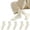 Beige, variant on Women Mid Calf Socks 5 Pairs Cotton Crew Socks Thin Breathable Athletic Socks Moisture Wicking Anti Odor Lightweight Running Gym Socks Daily Casual White,One Size