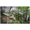 thumbnail image 2 of Forêt de Mousse Profonde avec Rochers - Impression sur Toile Paysage, 2 of 3