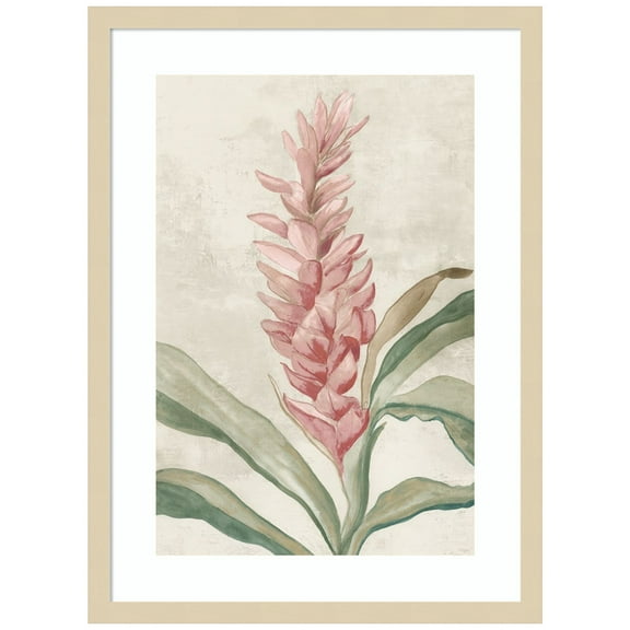 Amanti Art Pink Ginger I Wood Framed Wall Art Print