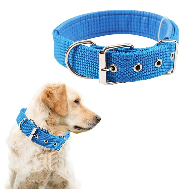 Pet circle dog collars 2025