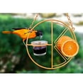 thumbnail image 2 of Oriole Bird Feeder, 17 inch Hanging Metal Bird Feeder,Detached Bowl Design,Orange Fruit Feeder,Great for Garden,Outdoor,Gift, 2 of 7