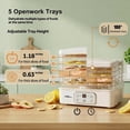 thumbnail image 3 of 5-Tray BPA-Free Food Dehydrator, Electric Dryer Dehydrators Machine with 72H Timer,  Precision Temp Control  35-70°C and Overheat Protection for Jerky, Fruit, Vegetables, Herbs, 3 of 10