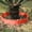 Red, variant on Gqtwoy 10Pcs Garden Edge Border Decoration, Garden Fence, Flower Bed Border, Suitable for Walkways and Courtyards, Durable Plastic, Adjustable Landscape Edging, Decorative Garden Fencing