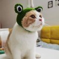thumbnail image 4 of Pet Hat Creative Shape Tear-resistant Woolen Yarn Cat Decorative Frog Hat Pet Photography Costume for Home, 4 of 8