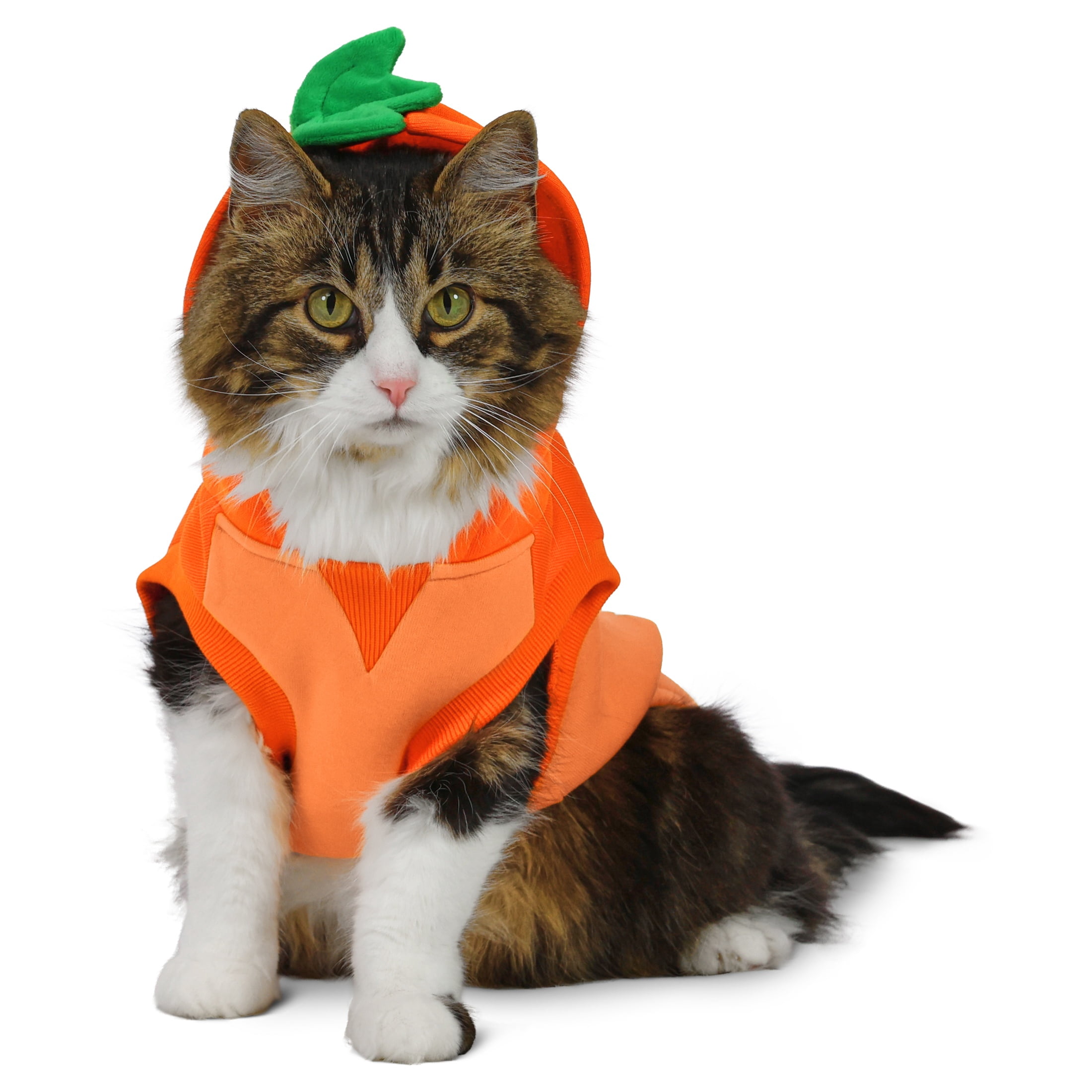 Vibrant Life Halloween Hoodie for Dogs and Cats, Mommy's Lil' Pumpkin, Orange, S