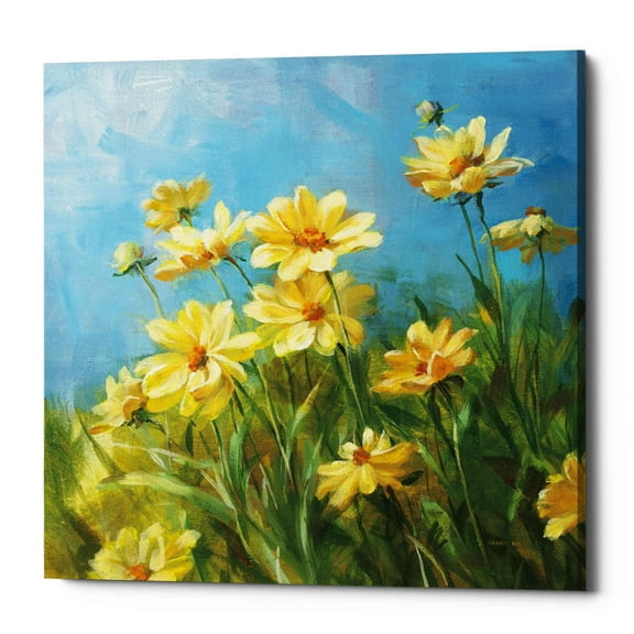 Epic Graffiti 'Summer Field I' by Danhui Nai, Canvas Wall Art, 18"x18"