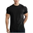 thumbnail image 2 of Fnnxeal Men's Round Neck Shirts Big and Tall Shirts Short Sleeve Tees for Men Summer Black Casual Tshirt 2XL, 2 of 4
