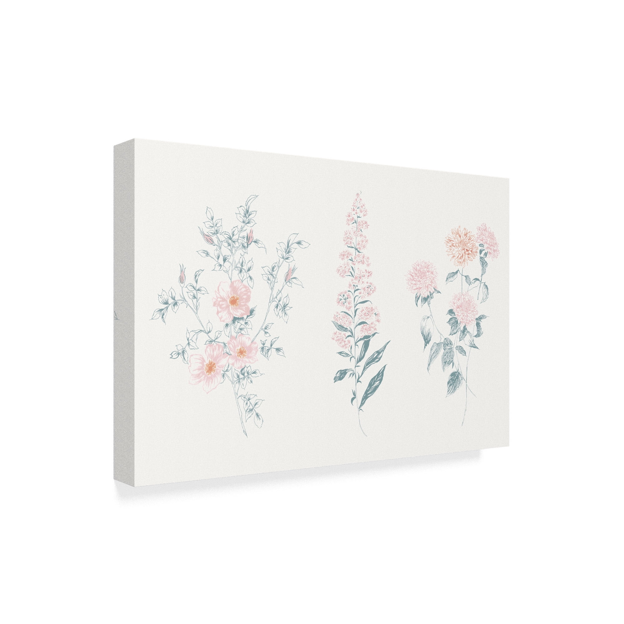 Trademark Fine Art 'Flowers on White IX Contemporary' Canvas Art by Wild Apple Portfolio