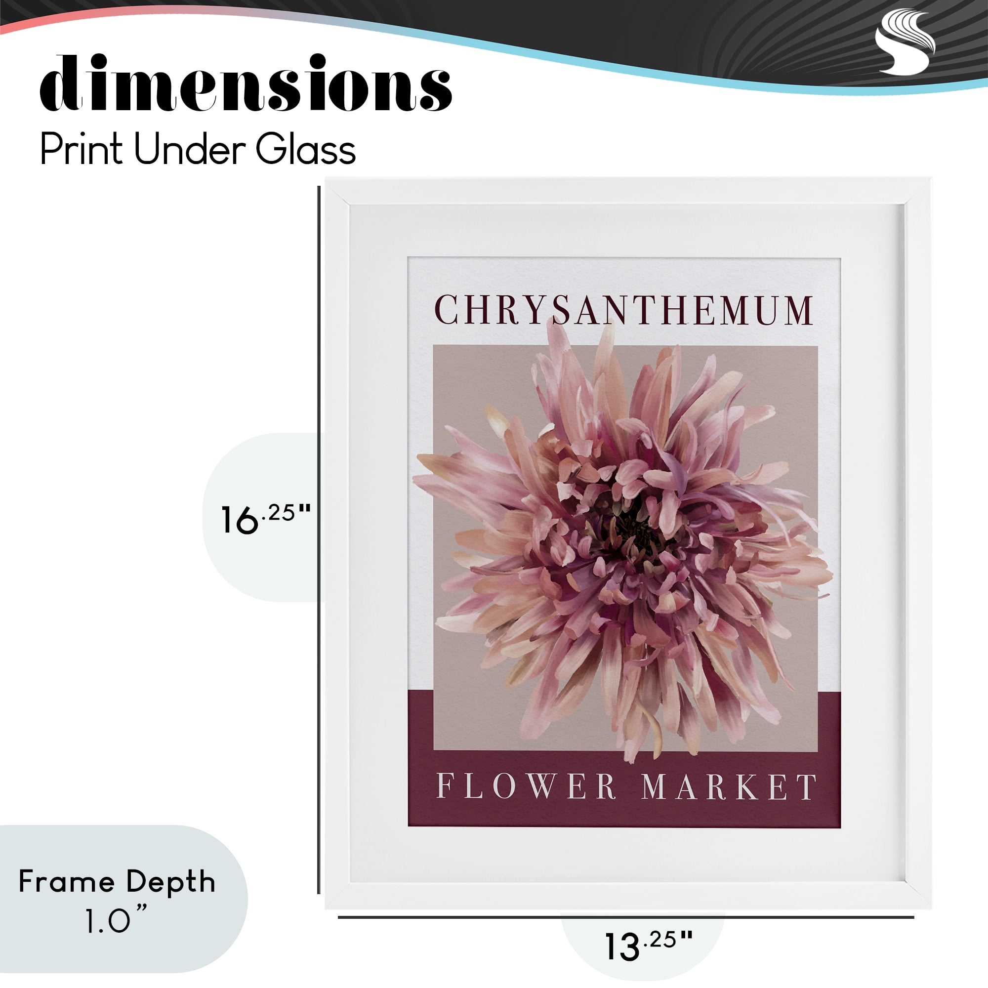 Stupell Industries Chrysanthemum Flower Market White Framed Print Under Glass, design by Jennifer Stith