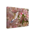 thumbnail image 2 of Trademark Fine Art 'The Flower Dance V' Canvas Art by Leda Robertson, 2 of 4