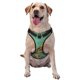 thumbnail image 1 of Balery Retro Birds Arnés para Perros Grandes Antitirones, Arnés con Correa para Gato, Arnés Tipo Chaleco para Perros Pequeños-X-Large, 1 of 6