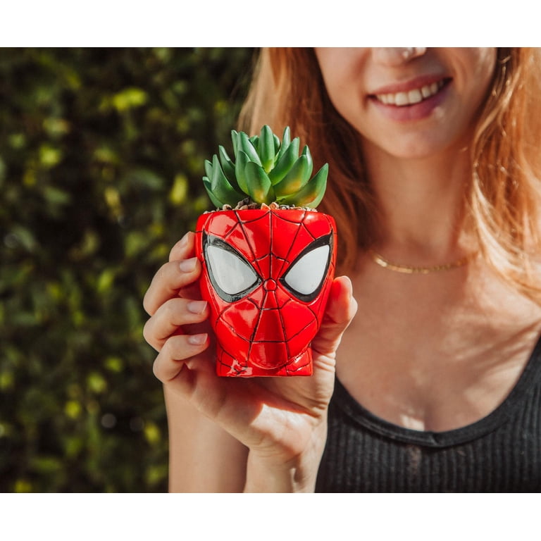 Marvel Comics Spider-Man 3-Inch Ceramic Mini Planter With Artificial  Succulent for Home - Walmart.com