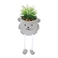 thumbnail image 3 of Shisuyan Potted Plant Multi Ldpe 1Pcs 10In, 3 of 8