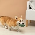 thumbnail image 4 of Puppy Play Pens for Medium Cats Ticking Clock Dog Puppy Teething Chew Pack It Football for Dogs Dog Chew Lot Dog in Bulk for Puppies Scent Training for Cats Dog Chew Rope for Small Dogs Imk9, 4 of 4