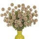 thumbnail image 1 of Flores artificiales Briful 12 unidades de crisantemos Kiku, color beige, 53 cm, 1 of 8