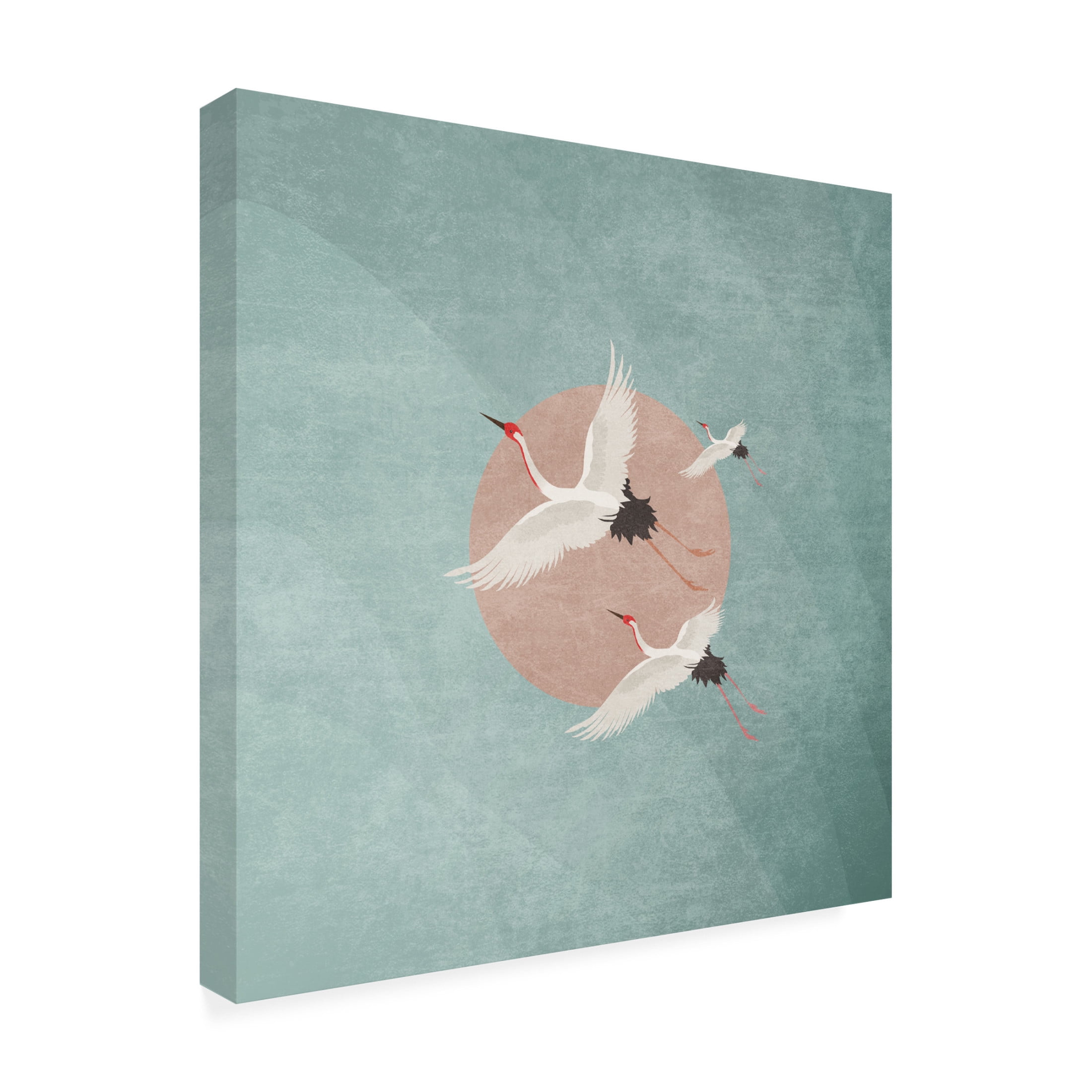 Trademark Fine Art Emel Tunaboylu Turnalar Mavimsi Pembe Gunes Canvas Wall Art