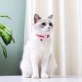thumbnail image 3 of Puppy Collar with Bell, Reflective Nylon XS Cat Collars Soft Adjustable Buckle for XXS XSmall Small Puppy Female Tiny Pets Dogs Boy Girl Kitten Yorkie Chihuahua, 3 of 7