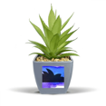 thumbnail image 1 of Australia Sydney Opera House Outline Fake Pineapple Flower Pot Vase Mini Decor, 1 of 3