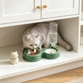 thumbnail image 5 of Tuvgenk 2-in-1 Cat & Dog Bowl Set with Automatic Water Dispenser & Food Tray Non-Slip Pet Feeder 10.63" Green, 5 of 6