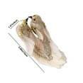 thumbnail image 3 of dajkiuy 2Pcs Artificial Birds Realistic Decorative Feathered Sparrow Birds Clip on Ornaments for Crafts Christmas Tree Decoration, 3 of 6